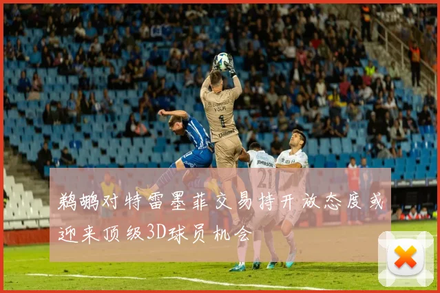 鹈鹕对特雷墨菲交易持开放态度或迎来顶级3D球员机会